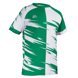 Flectra Sublimated Football Shirt Green/White