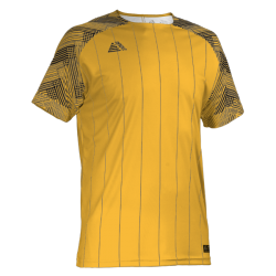 Linaro Sublimated Football Shirt Amber/Black