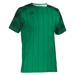 Linaro Sublimated Football Shirt Green/Black
