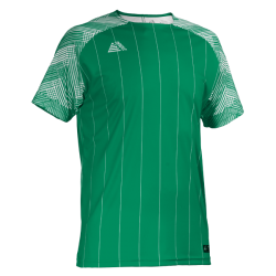 Linaro Sublimated Football Shirt Green/White