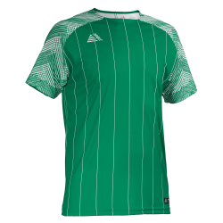 Linaro Sublimated Football Shirt Green/White