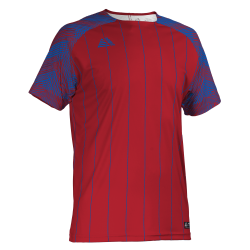 Linaro Sublimated Football Shirt Red/Royal