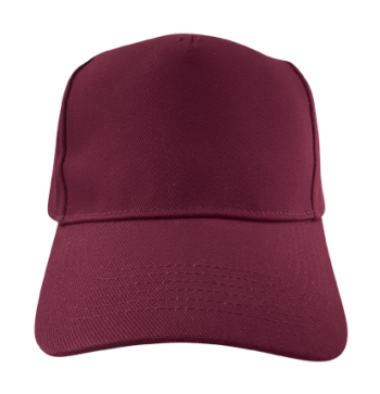 Cricket Cap