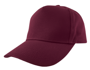 Cricket Cap