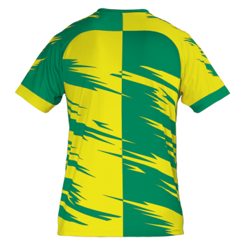 Flectra Sublimated Football Shirt