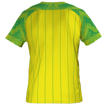 Linaro Sublimated Football Shirt
