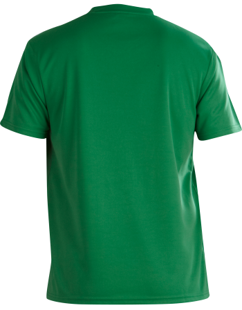 Tempo T - Shirts Green/White (SB1)
